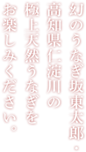 sp_main_copy